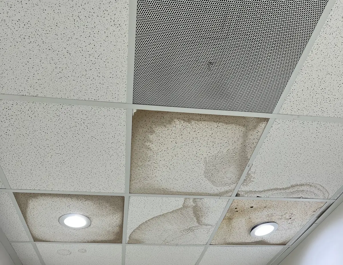 Water-stained drop-ceiling tiles after a leak