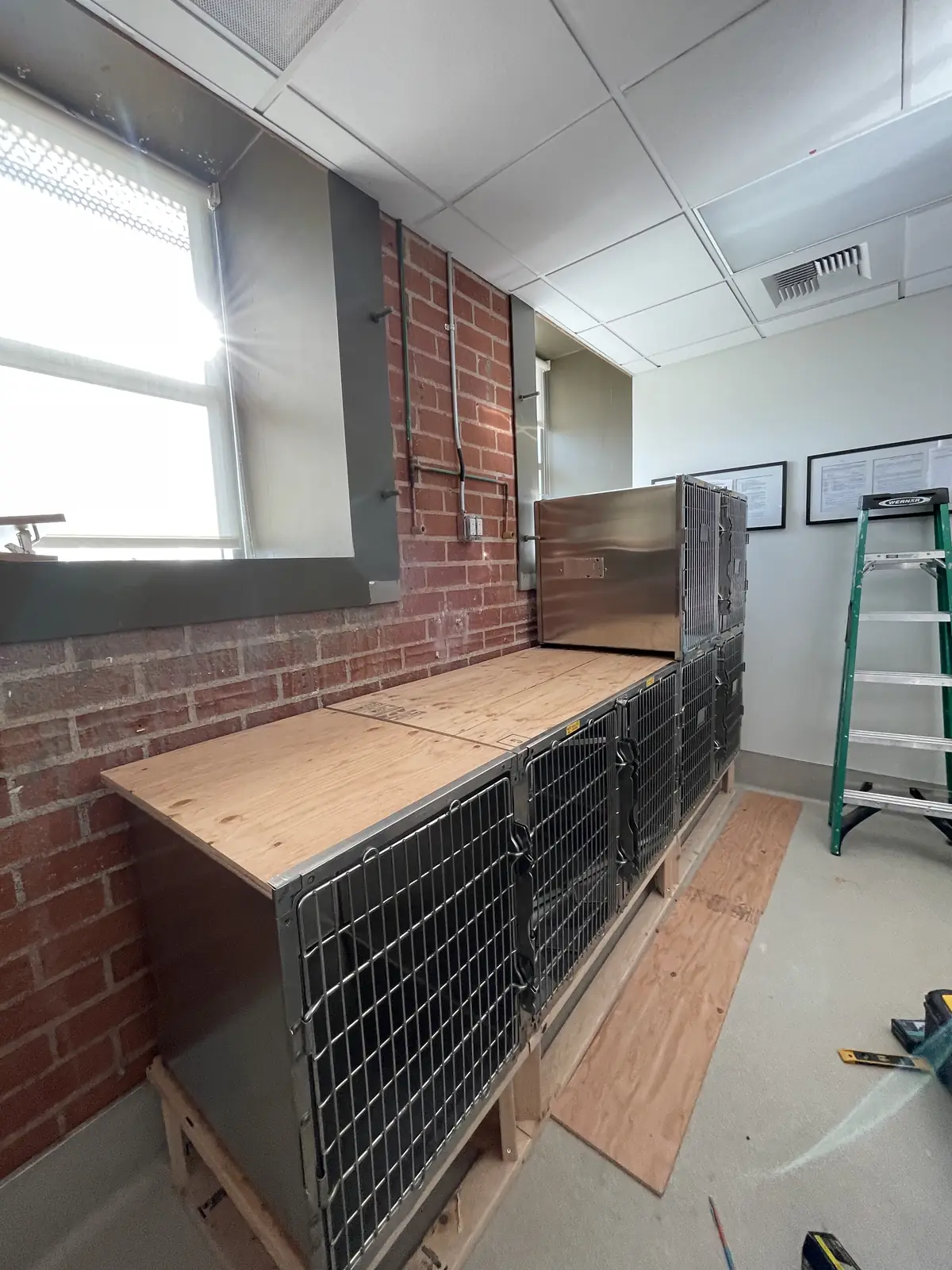 Stainless-steel kennel bank installed in a veterinary clinic